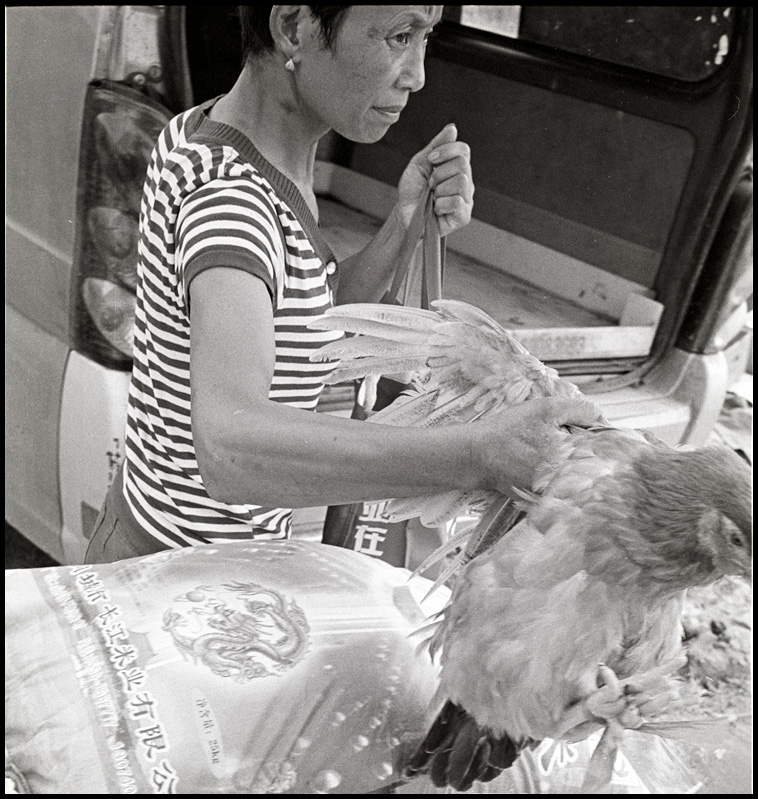 ©copyright Marco Giardini